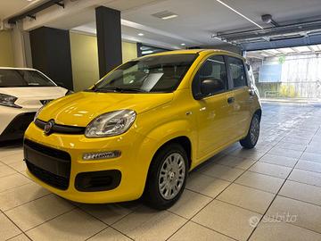 FIAT Panda 1.0 FireFly S&S Hybrid POP KM0 PROMO
