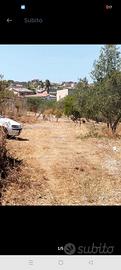 Terreno agricolo con progetto