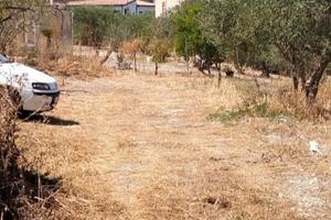 Terreno agricolo con progetto