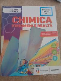 chimica fenomeni e realtà 
