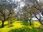 Immagine 12