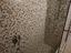 Immagine 28