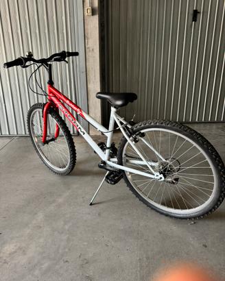 bici mountan bike