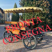 Carrozza per cavalli marathon maxi training 2+6