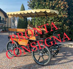 Carrozza per cavalli marathon maxi training 2+6