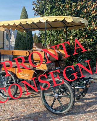 Carrozza per cavalli marathon maxi training 2+6