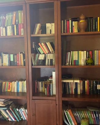 Grande libreria in legno