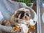 Immagine 4
