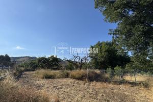 Terreno edificabile pianeggiante