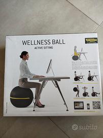 wellness ball techno gym