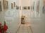 Immagine 10