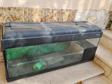 acquario 
