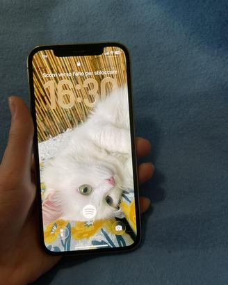 Iphone 12pro