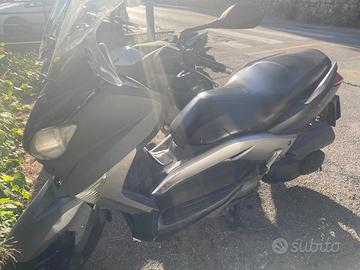 xmax 250 2010