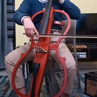 Violoncello elettrico