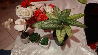 Lotto Piante e Fiori Finti Decorativi con Vasi 