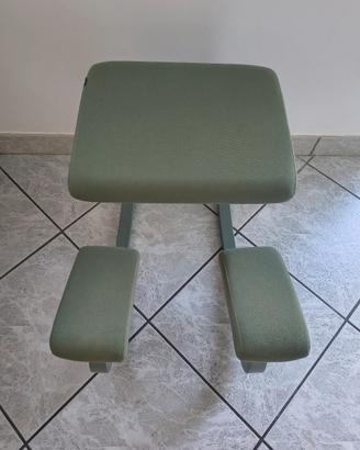 Varier Variable - Special Edition