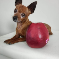 Pincher per accoppiamento