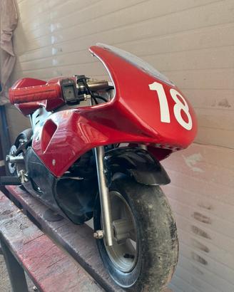 Minimoto