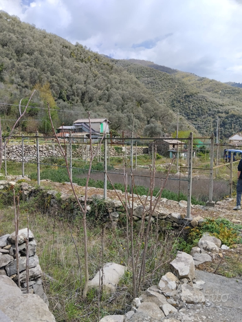 Arma di Taggia vendita rustico e terreno