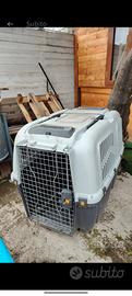 trasporto x cane XXL 