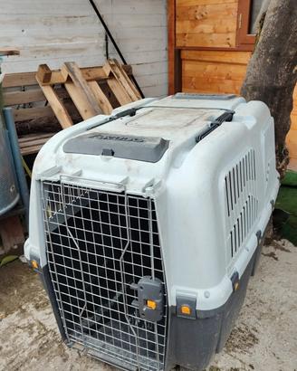 trasporto x cane XXL 