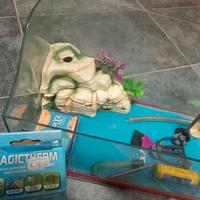 Piccolo acquario + accessori in foto