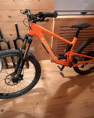 Santa Cruz Bronson