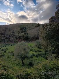Terreno edificabile panoramico