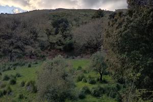 Terreno edificabile panoramico