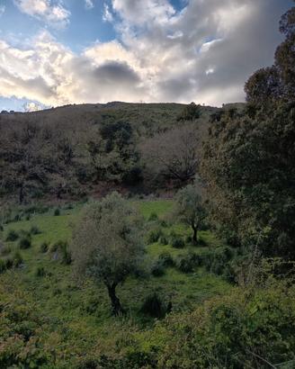 Terreno edificabile panoramico