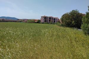 Terreno edificabile