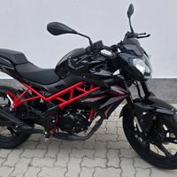 Benelli BN 125 euro 5