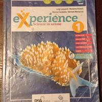 Experience volume 1