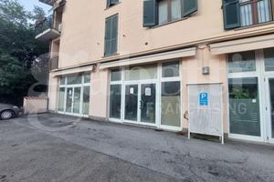 Negozio Amelia [Cod. rif 3187565ACG]