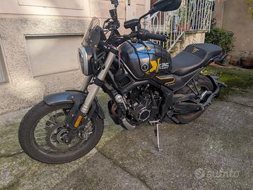 Voge Trofeo 525 - 2023 Perfetta