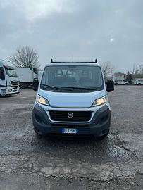 Fiat Ducato cassonato