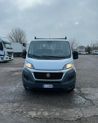 Fiat Ducato cassonato