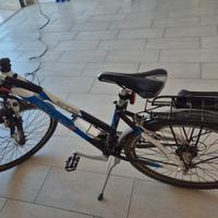 Mountain bike Grandis