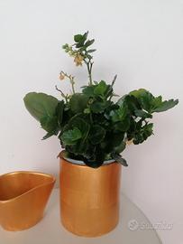 2 vasi per piante e fiori