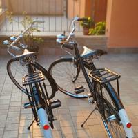 Coppia bici Raleigh d'epoca da Uomo e Donna da col