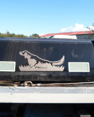 Hard Top Nissan Navara Usato