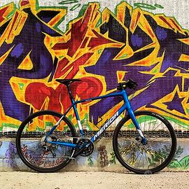 MERIDA SPEEDER 300 Tg.L