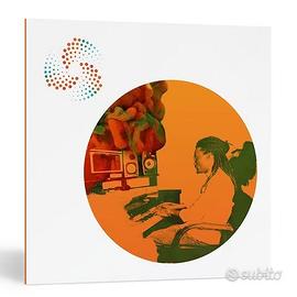 iZotope Neutron 3 Elements