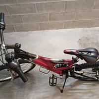 Bicicletta ragazzino