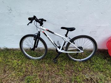 Brwin Rockrider ST100