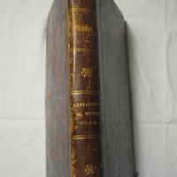 GIULIO VERNE, Libro del 1877