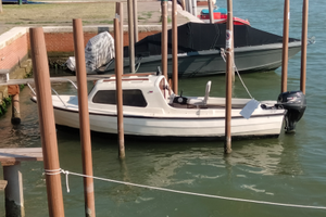 Pilotina karnerplastica