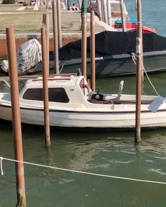 Pilotina karnerplastica