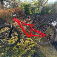Specialized camber 2018